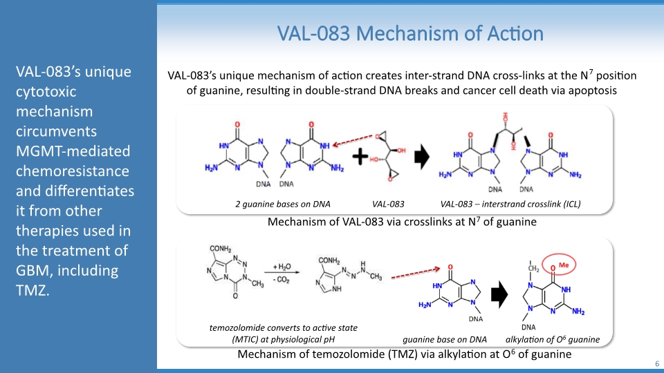 Slide 6